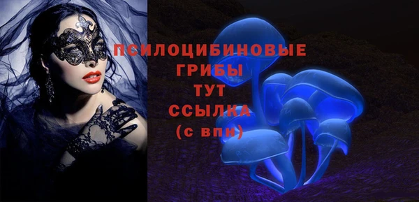 мяу мяу мука Армянск