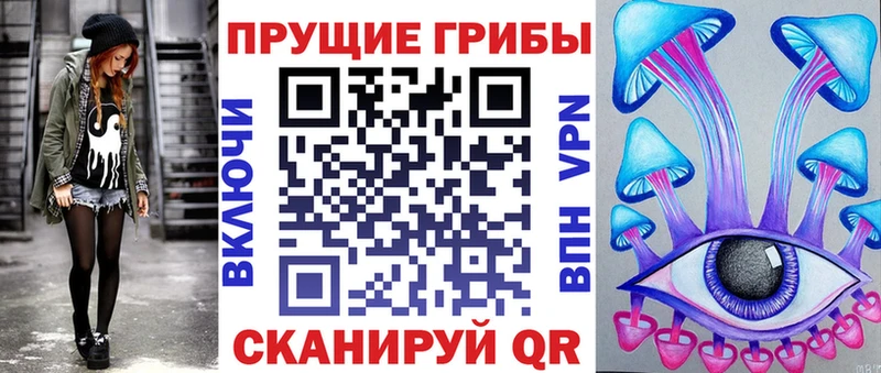 блэк спрут ссылка  Ступино  Галлюциногенные грибы Psilocybe 